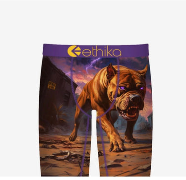 Ethika Men's Briefs