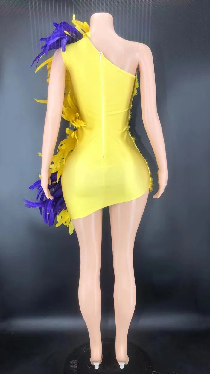 Feather the Weather Dress IAMQUEEN FASHION