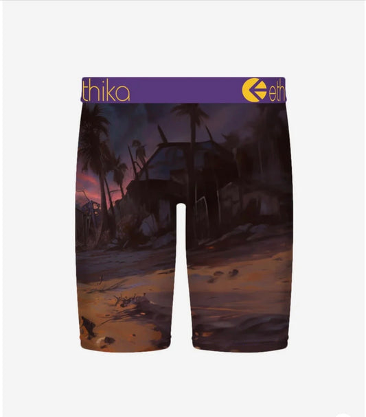 Ethika Men's Briefs