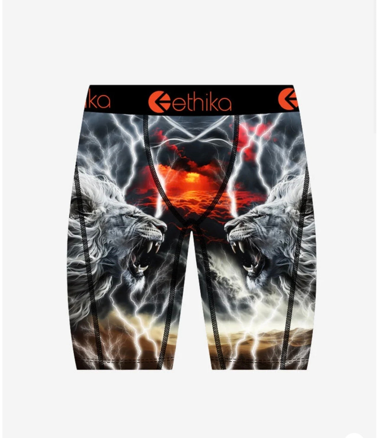 Ethika Men's Briefs