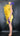 Feather the Weather Dress IAMQUEEN FASHION