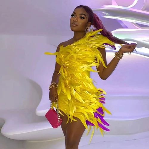 Feather the Weather Dress IAMQUEEN FASHION